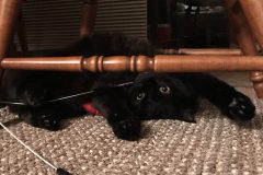 shadow-IMG_0947-scaled