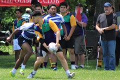 sharks7s-facebook-photosIII-28
