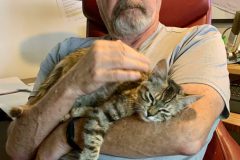 terry-kitty-scaled